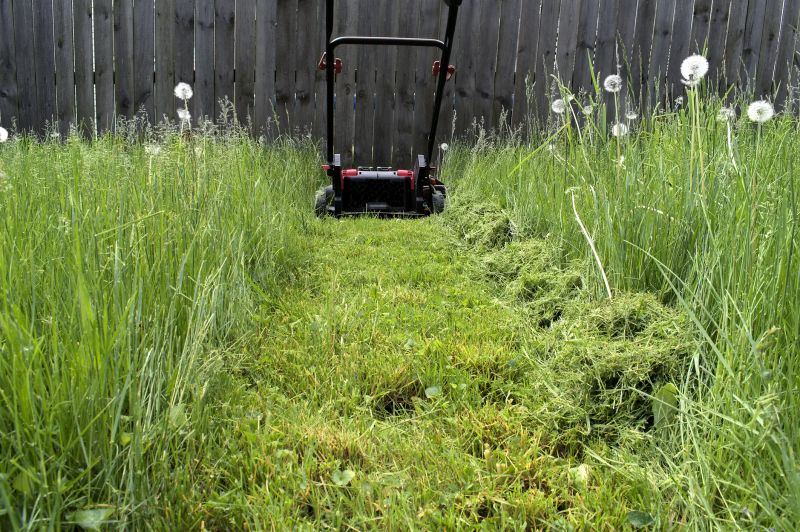 Grass Cutting