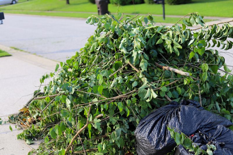 Grass Clippings Disposal