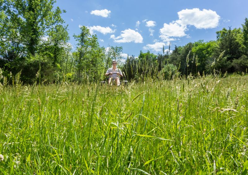 Lawn Size