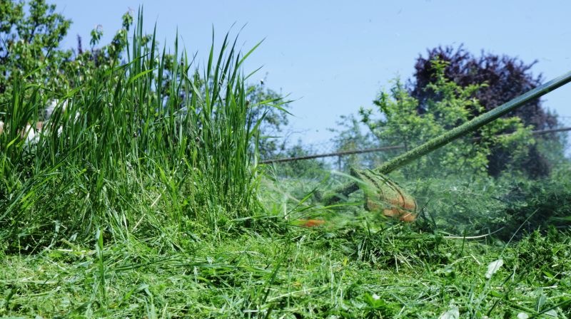 Grass Type