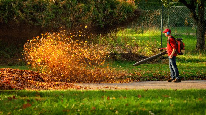Leaf Blowing Methods