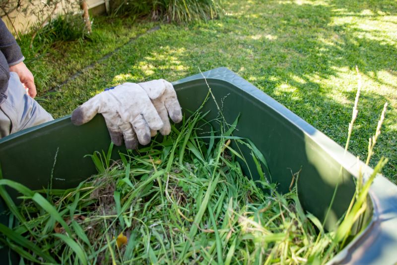 Eco-Friendly Options