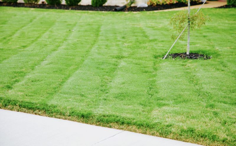 Lawn Before and After