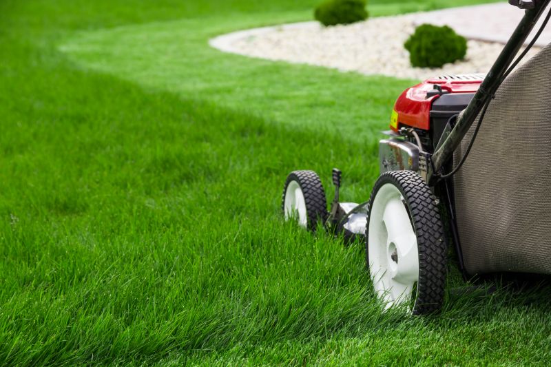 Grass Cutting - Grass Cutting New Orleans, Louisiana
