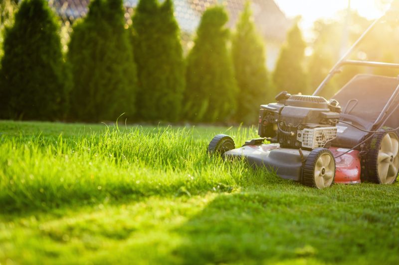 Improve the Curb Appeal with Grass Cutting Services!