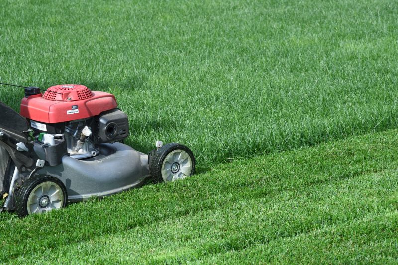 Save Time and Effort with Professional Grass Cutting Services!